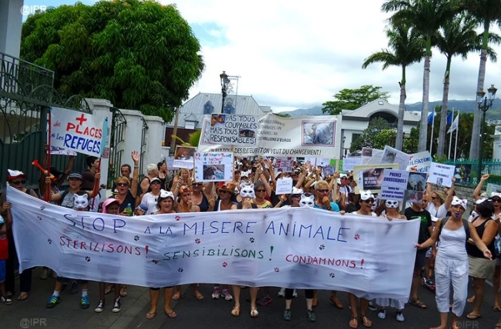 Ils manifestent pour une stérilisation massive