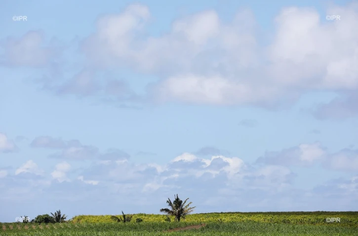 météo Réunion 