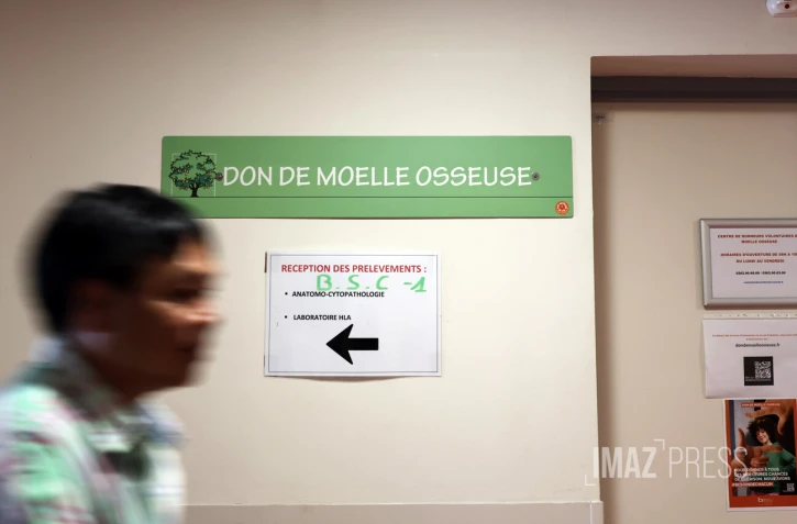 moelle osseuse