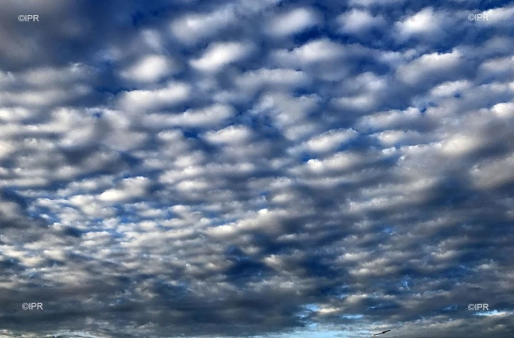 météo réunion 