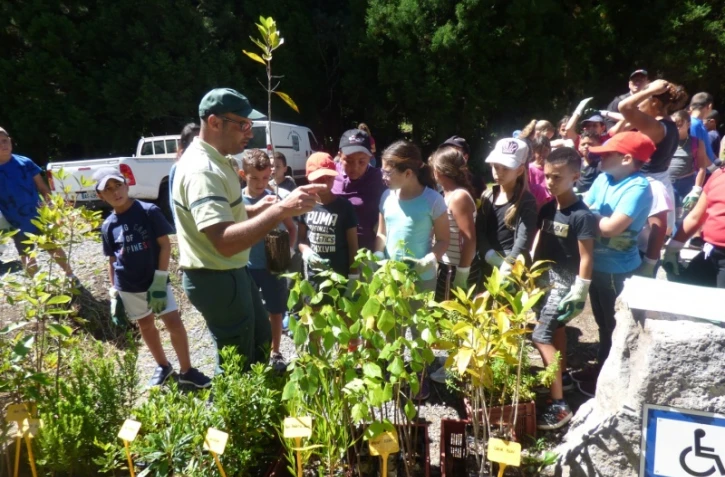 ouvelle aire d'accueil pour tous et nouvelles plantations à Cilaos