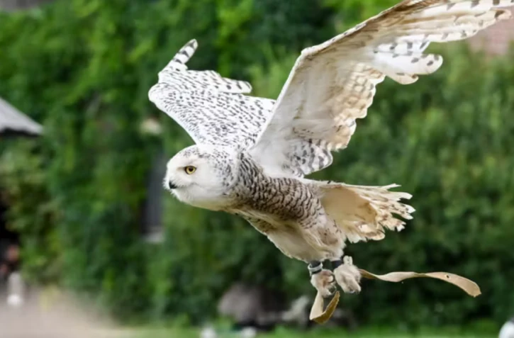 JENS KALAENE / dpa Picture-Alliance via AFP