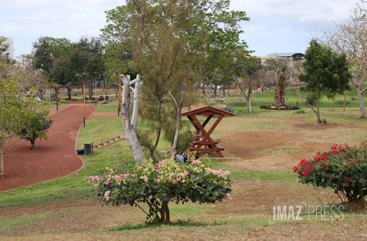parc boisé du Port