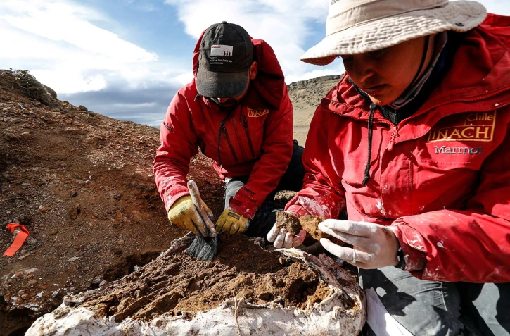 Universidad de Chile