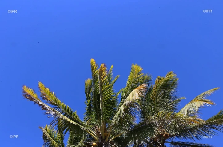 météo réunion 