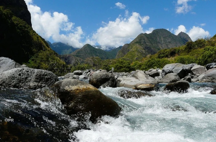 illustrations photos