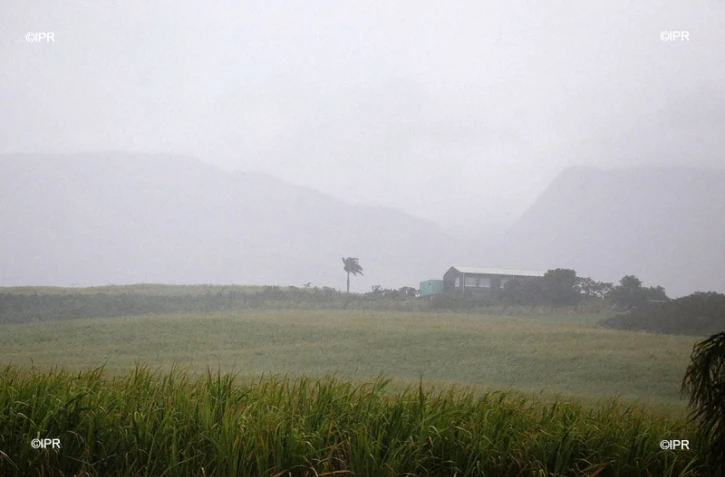 météo réunion 