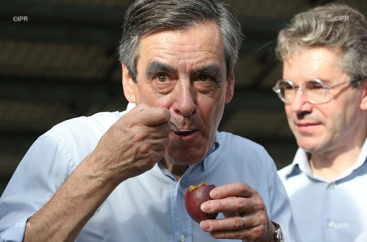 Fillon Réunion