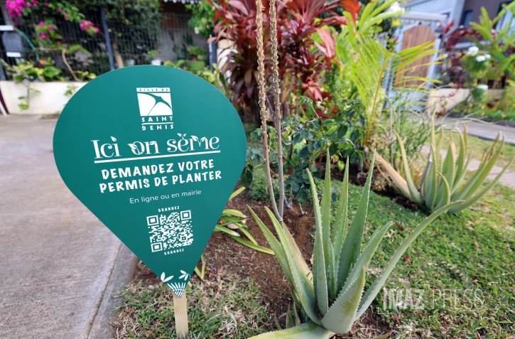 permis de planter à saint-denis 
