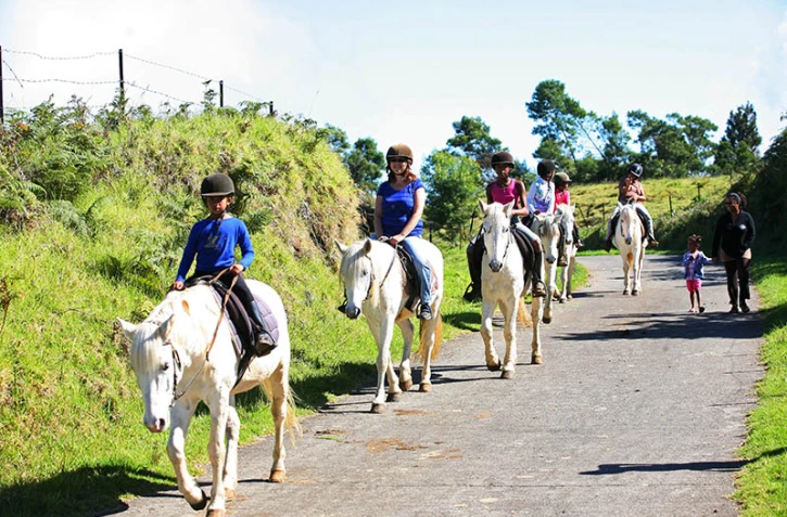 découverte, balade, cheval
