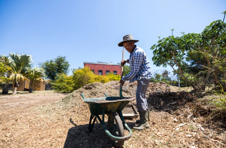 Saint-Denis : la municipalité s'engage pour une ville verte et résiliente