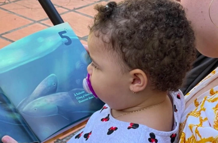 Le département organise l'opération