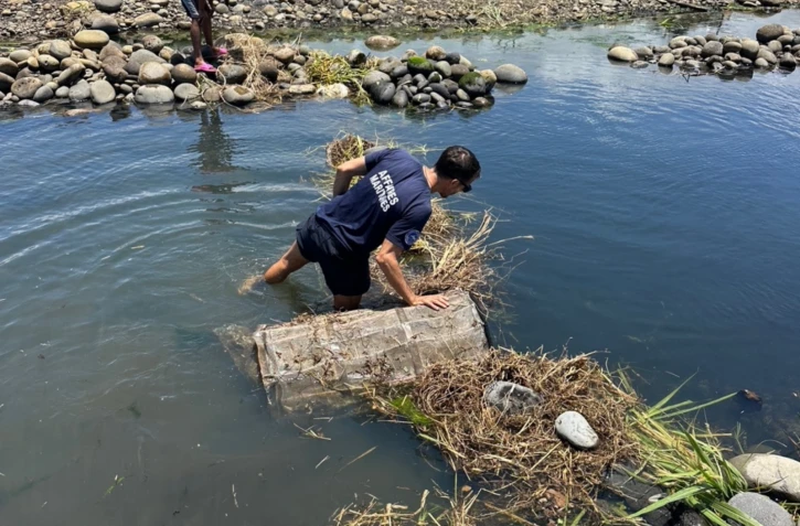 Fermeture de la pêche aux bichiques : 9 rivières contrôlées simultanément, une infraction constatée