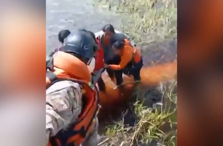 Bolivie : piégés après un crash d’avion, ils ont passé 36 heures dans un marais rempli de caïmans
