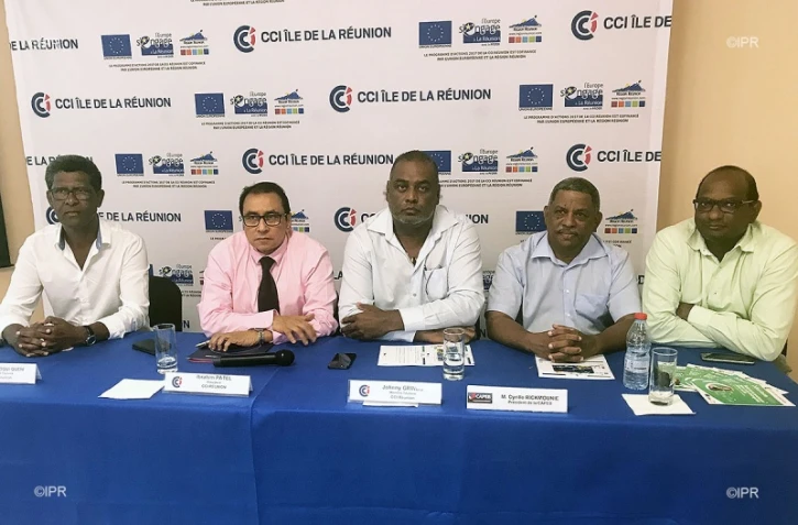 journée pour les professionnelles CCIR