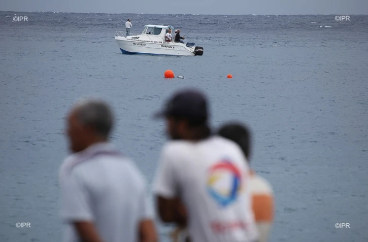 Attaque de requin au Port