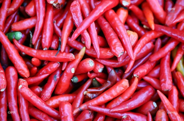 légumes 