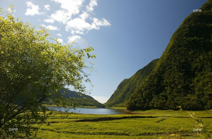 météo Réunion 