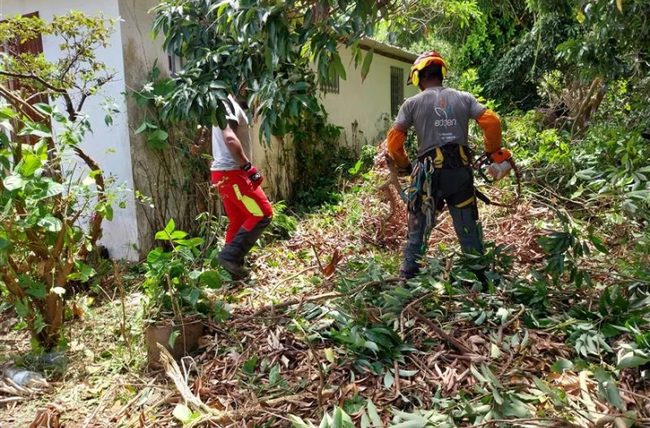 Cyclone Garance : le Département sollicite la SPL Edden pour des interventions d'urgence
