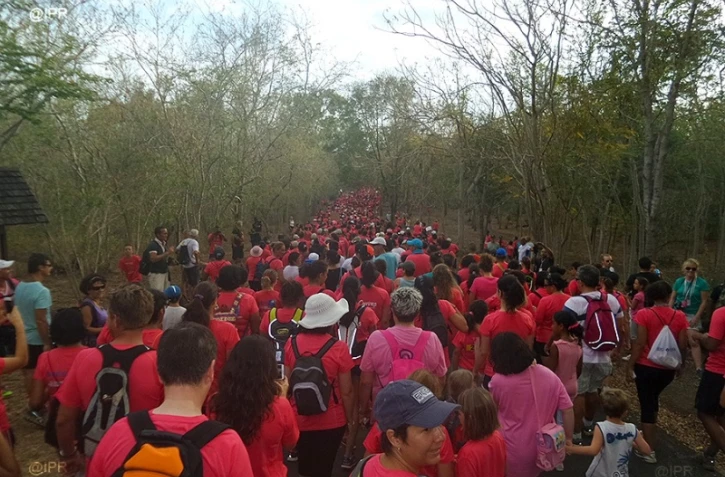 Odyssea 2014