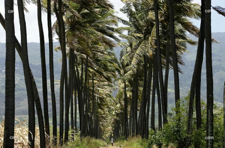 paysages 