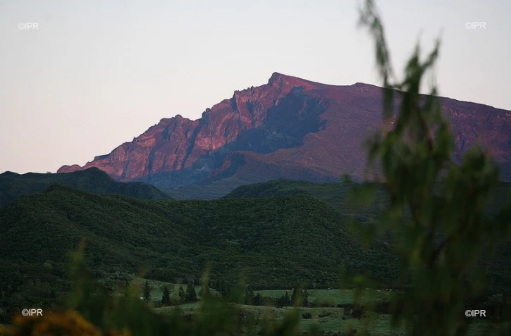 piton des neiges 