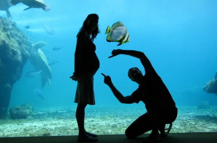 Le concours de photos \"Kélonia vu par ses visiteurs\"