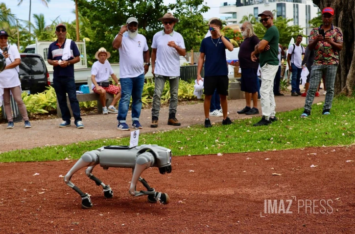 Chien robot, Technologies