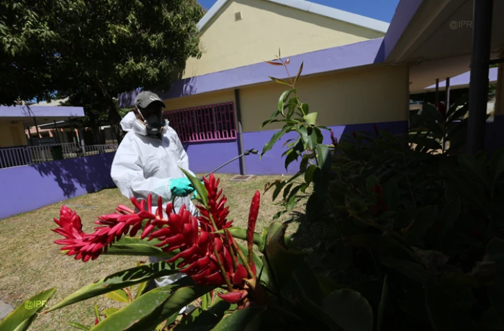 LUTTE CONTRE LE CHIKUNGUNYA