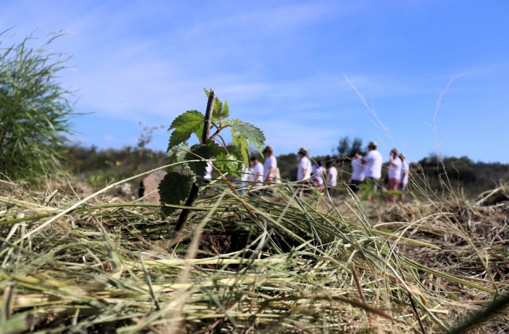"Nout foret, nout péi" : 140 arbres plantés sur le littoral de Saint-Leu [?]