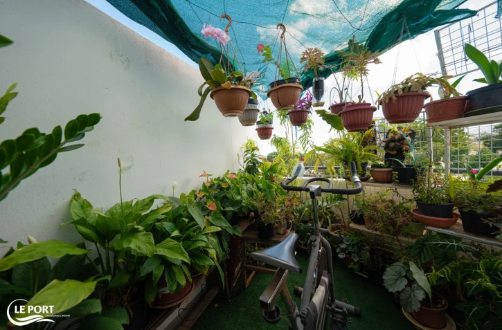 Le Port : visite des jardins et balcon fleuris de la commune