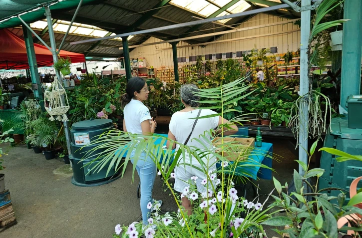  Compostage : des conseils gratuits avec les guides du TCO à Saint-Leu