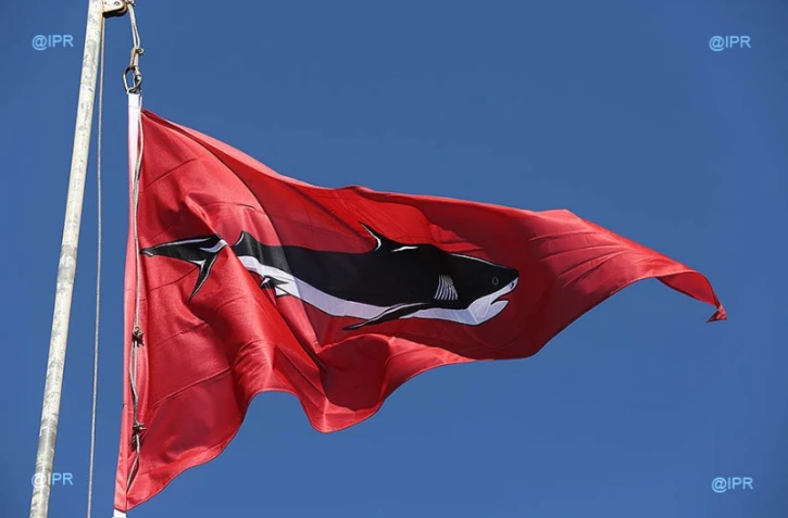 drapeaux requins