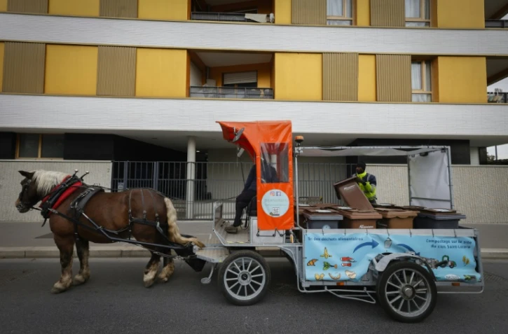 Le cheval Queteur et le Malien Mamadou assurent la collecte de déchets alimentaires, le 16 octobre 2023 à Stains, en Seine-Saint-Denis