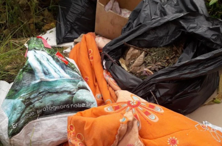 Band cochon : 178 dépôts sauvages en une semaine