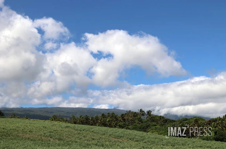paysage est 