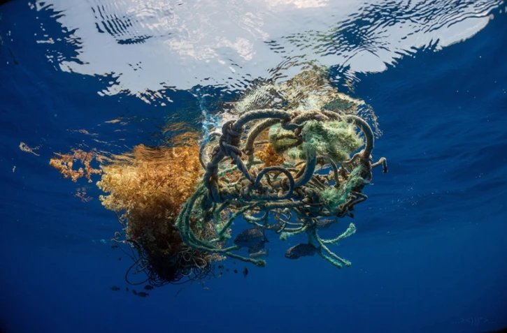 filets à la dérives 