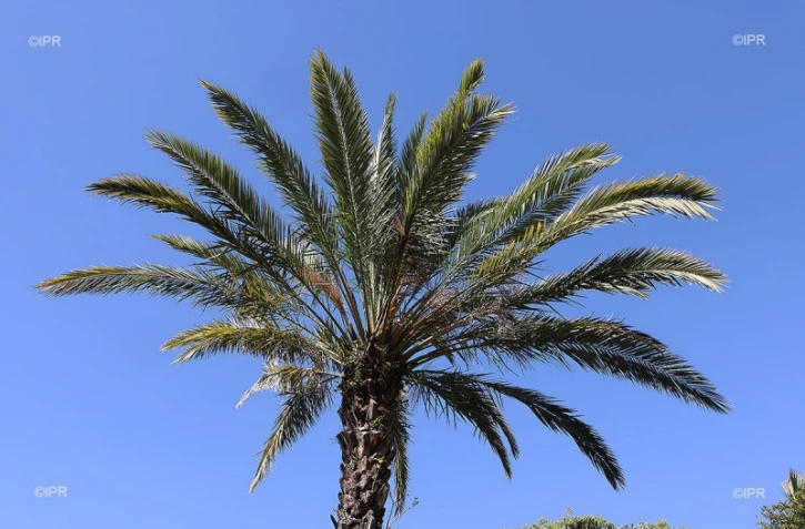 Météo Réunion