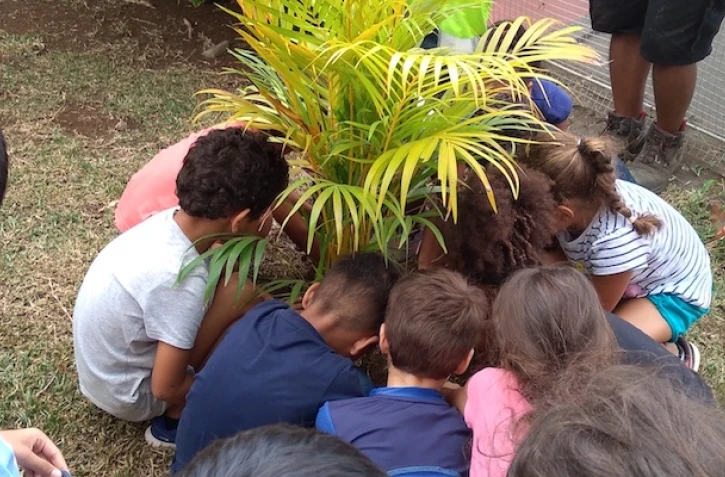 Saint-Paul : les marmailles luttent contre le réchauffement climatique