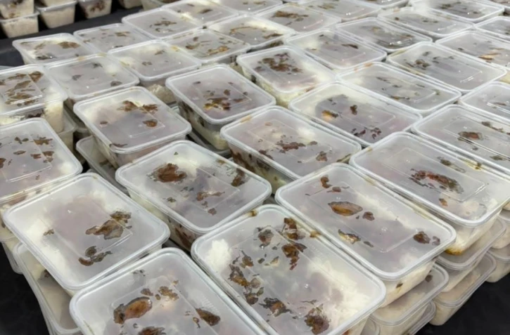 Caravane de la solidarité : 1 647 repas distribués