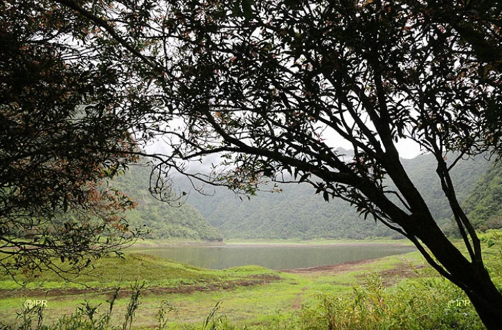 Le Grand Étang 
