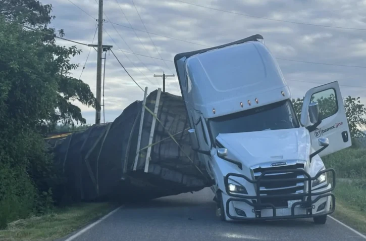 250 millions d’abeilles s’échappent d’un camion après un accident [?]