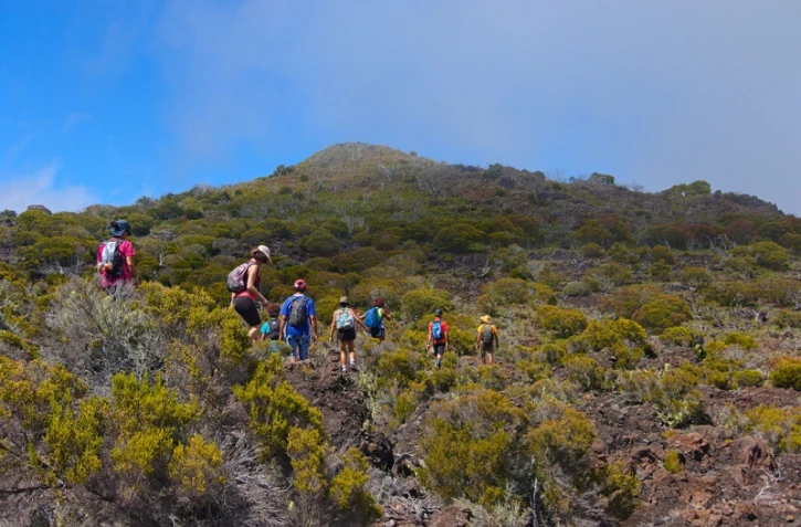 Zarlor randonnée guidée Piton Rouge