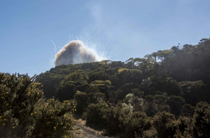 fazsoi, armée, police, saint-denis, préfecture, munitions, cartouches, grenades, actualités de la réunion