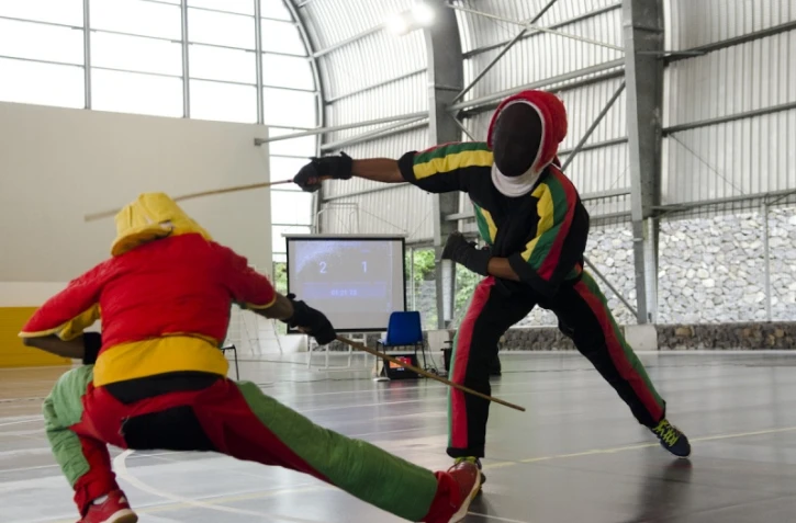 Coupe de canne de combat