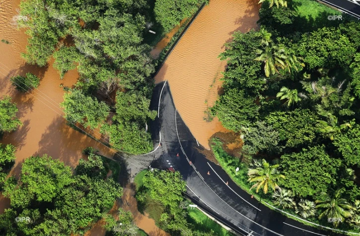 retour photo berguitta