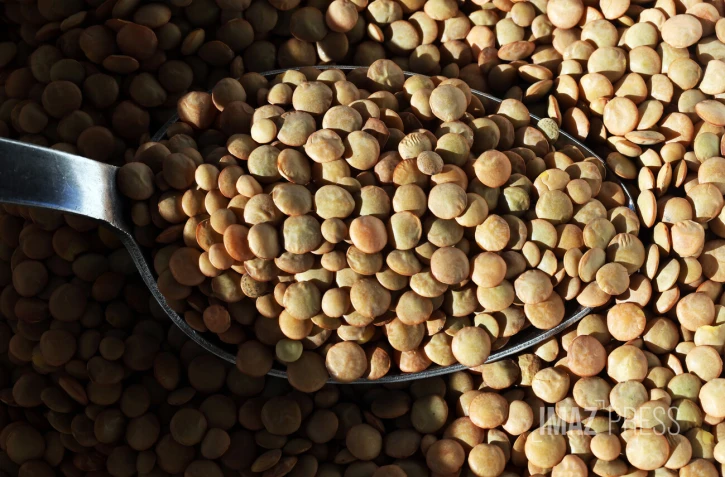 lentilles