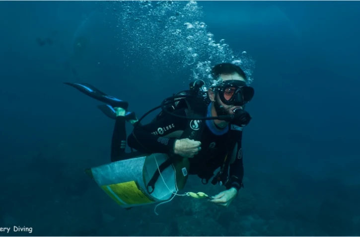 17 tonnes de déchets ramassées à La Réunion