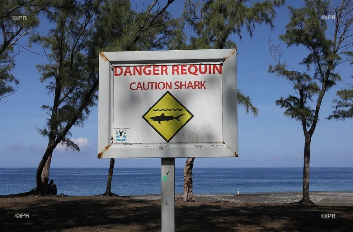 surf et baignade 