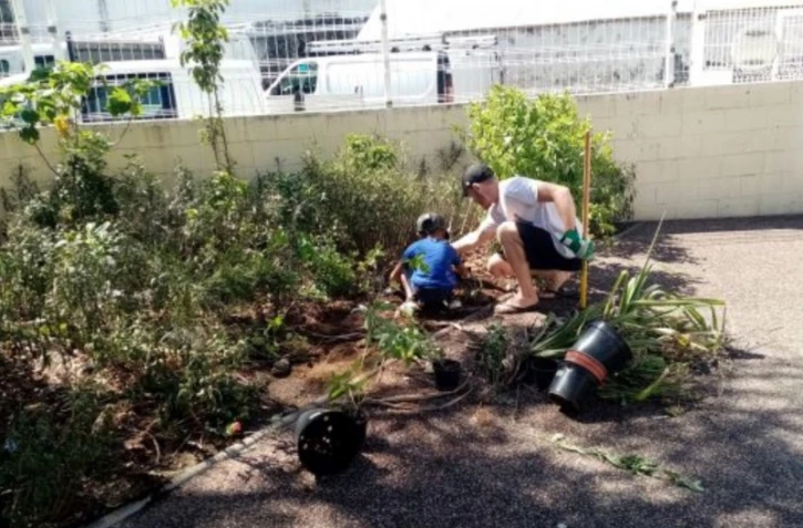 Saint-Paul : des plantations d'arbres pour l'école Sarda Garriga